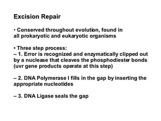 Dna repair