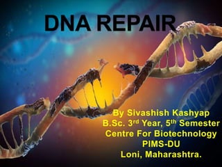 DNA REPAIR
By Sivashish Kashyap
B.Sc. 3rd Year, 5th Semester
Centre For Biotechnology
PIMS-DU
Loni, Maharashtra.
 