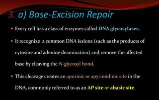 3. a) Base-Excision Repair
 Every cell has a class of enzymes called DNA glycosylases.
 It recognize a common DNA lesions (such as the products of
cytosine and adenine deamination) and remove the affected
base by cleaving the N-glycosyl bond.
 This cleavage creates an apurinic or apyrimidinic site in the
DNA, commonly referred to as an AP site or abasic site.
 