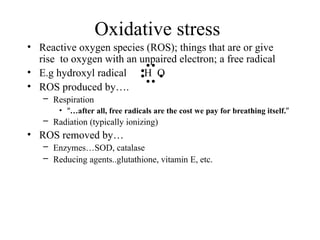 • Reactive oxygen species (ROS); things that are or give
rise to oxygen with an unpaired electron; a free radical
• E.g hydroxyl radical H O
• ROS produced by….
– Respiration
• “…after all, free radicals are the cost we pay for breathing itself.”
– Radiation (typically ionizing)
• ROS removed by…
– Enzymes…SOD, catalase
– Reducing agents..glutathione, vitamin E, etc.
Oxidative stress
 