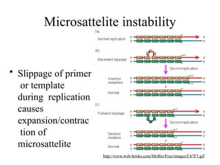 Microsattelite instability
• Slippage of primer
or template
during replication
causes
expansion/contrac
tion of
microsattelite
http://www.web-books.com/MoBio/Free/images/Ch7F3.gif
 