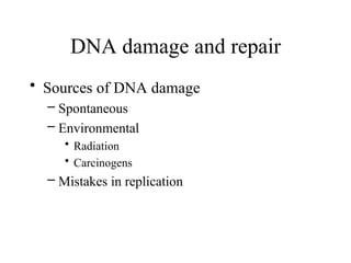 DNA damage and repair
• Sources of DNA damage
– Spontaneous
– Environmental
• Radiation
• Carcinogens
– Mistakes in replication
 
