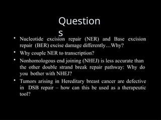 Question
s
• Nucleotide excision repair (NER) and Base excision
repair (BER) excise damage differently…Why?
• Why couple NER to transcription?
• Nonhomologous end joining (NHEJ) is less accurate than
the other double strand break repair pathway: Why do
you bother with NHEJ?
• Tumors arising in Hereditary breast cancer are defective
in DSB repair – how can this be used as a therapeutic
tool?
 