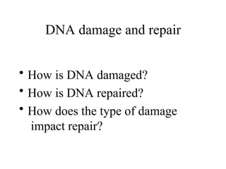 DNA damage and repair
• How is DNA damaged?
• How is DNA repaired?
• How does the type of damage
impact repair?
 