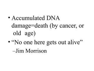 • Accumulated DNA
damage=death (by cancer, or
old age)
• “No one here gets out alive”
–Jim Morrison
 