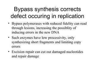 DNArepair.ppt used for DNA repair mechansim | PPT