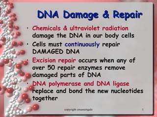 Comprehensive Overview of DNA Damage and Repair Mechanisms in Cells | PPT