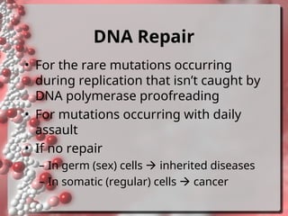 Comprehensive Overview of DNA Damage and Repair Mechanisms in Cells | PPT