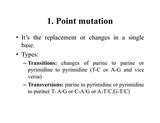 1. Point mutation
• It’s the replacement or changes in a single
base.
• Types:
– Transitions: changes of purine to purine or
pyrimidine to pyrimidine (T-C or A-G and vice
versa)
– Transversions: purine to pyrimidine or pyrimidine
to purine( T- A/G or C-A/G or A-T/C,G-T/C)
 
