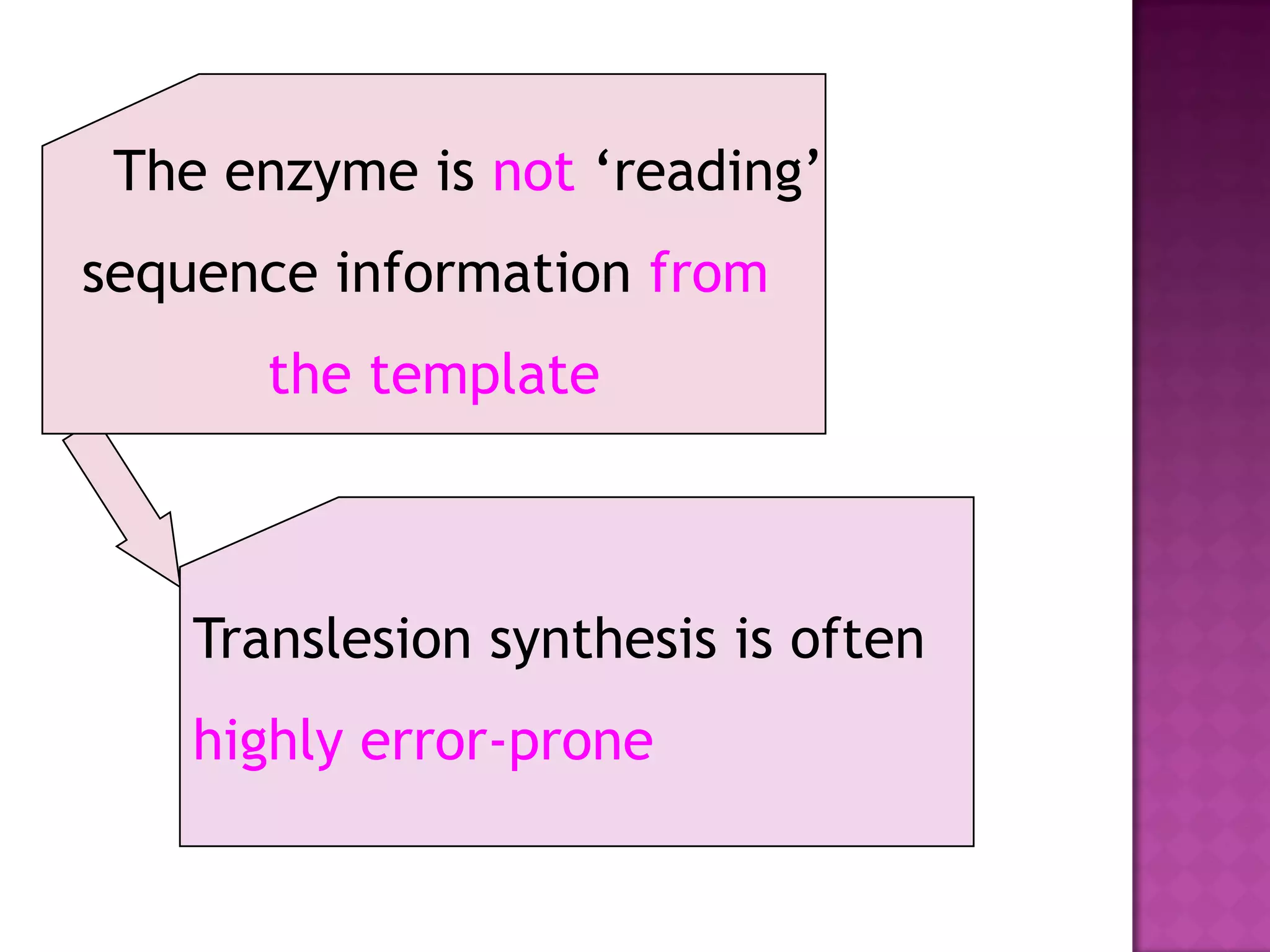 The enzyme is not ‘reading’
sequence information from
the template
Translesion synthesis is often
highly error-prone
 