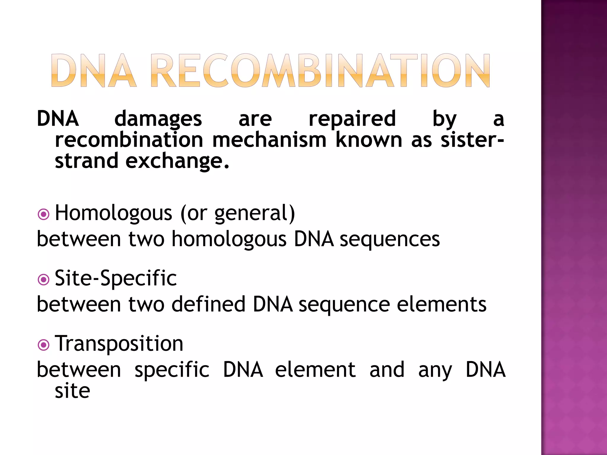 DNA damages are repaired by a
recombination mechanism known as sister-
strand exchange.
 Homologous (or general)
between two homologous DNA sequences
 Site-Specific
between two defined DNA sequence elements
 Transposition
between specific DNA element and any DNA
site
 