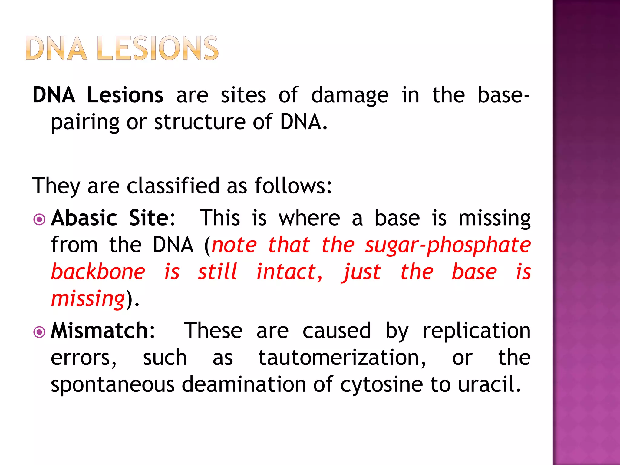 DNA Lesions are sites of damage in the base-
pairing or structure of DNA.
They are classified as follows:
 Abasic Site: This is where a base is missing
from the DNA (note that the sugar-phosphate
backbone is still intact, just the base is
missing).
 Mismatch: These are caused by replication
errors, such as tautomerization, or the
spontaneous deamination of cytosine to uracil.
 
