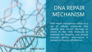 Comprehensive Overview of DNA Repair Mechanisms and Associated Diseases ...