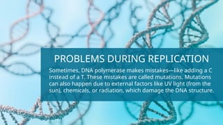 Comprehensive Overview of DNA Repair Mechanisms and Associated Diseases ...