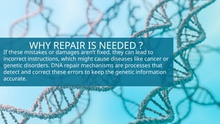 Comprehensive Overview of DNA Repair Mechanisms and Associated Diseases ...