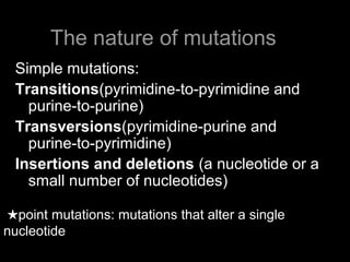 The nature of mutations
Simple mutations:
Transitions(pyrimidine-to-pyrimidine and
purine-to-purine)
Transversions(pyrimidine-purine and
purine-to-pyrimidine)
Insertions and deletions (a nucleotide or a
small number of nucleotides)
★point mutations: mutations that alter a single
nucleotide
 