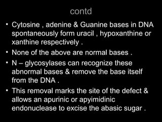 contd
• Cytosine , adenine & Guanine bases in DNA
spontaneously form uracil , hypoxanthine or
xanthine respectively .
• None of the above are normal bases .
• N – glycosylases can recognize these
abnormal bases & remove the base itself
from the DNA .
• This removal marks the site of the defect &
allows an apurinic or apyimidinic
endonuclease to excise the abasic sugar .
 