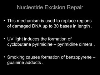 Nucleotide Excision Repair
• This mechanism is used to replace regions
of damaged DNA up to 30 bases in length .
• UV light induces the formation of
cyclobutane pyrimidine – pyrimidine dimers .
• Smoking causes formation of benzopyrene –
guainine adducts .
 