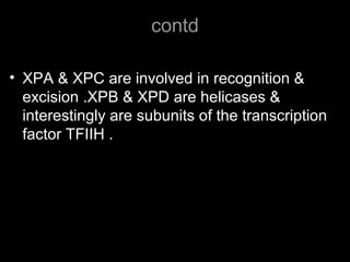 contd
• XPA & XPC are involved in recognition &
excision .XPB & XPD are helicases &
interestingly are subunits of the transcription
factor TFIIH .
 