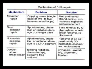 DNA Repair 