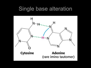 Single base alteration
 
