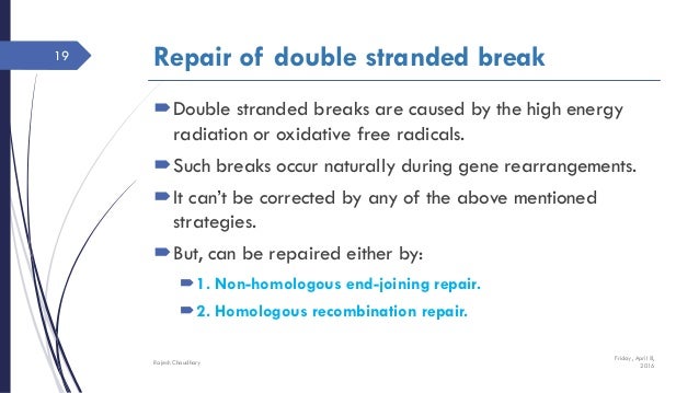 Can An Organism Naturally Repair A Mutation Can An Organism Naturally Repair A Mutation