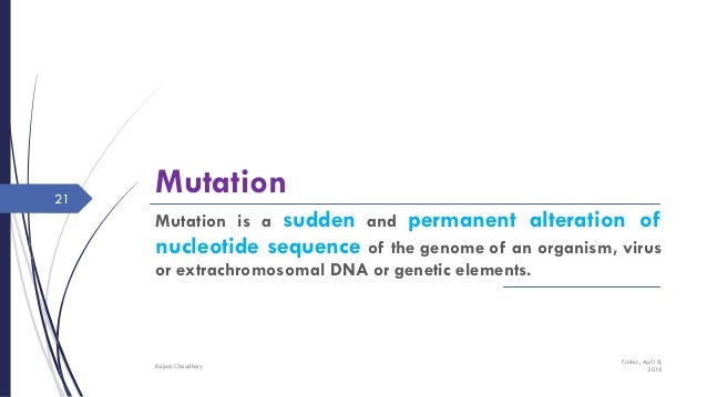 Can An Organism Naturally Repair A Mutation Can An Organism Naturally Repair A Mutation