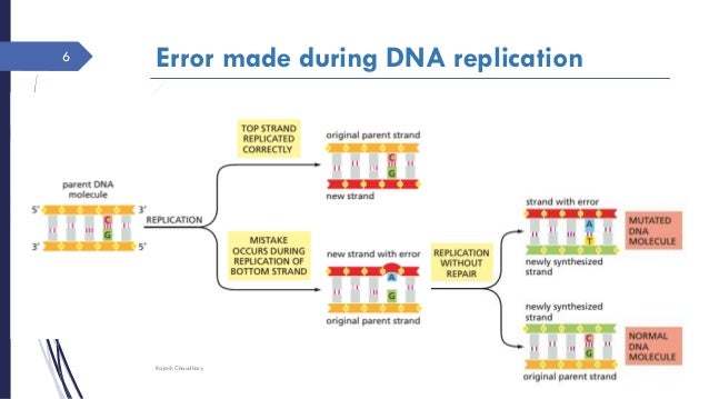 slideshare