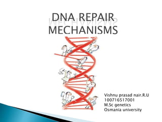 DNA REPAIR
MECHANISMS
Vishnu prasad nair.R.U
100716517001
M.Sc genetics
Osmania university
 