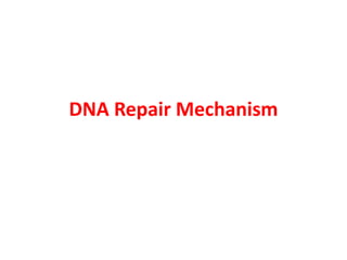 DNA Repair Mechanism
 