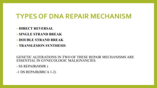 TYPES OF DNA REPAIR MECHANISM
• DIRECT REVERSAL
• SINGLE STRAND BREAK
• DOUBLE STRAND BREAK
• TRANSLESION SYNTHESIS
GENETIC ALTERATIONS IN TWO OF THESE REPAIR MECHANISMS ARE
ESSENTIAL IN GYNECOLOGIC MALIGNANCIES.
- SS REPAIR(MMR )
-1 DS REPAIR(BRCA 1-2)
 