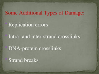Comprehensive Overview of DNA Repair Mechanisms and Their Biological ...