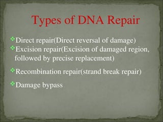 Comprehensive Overview of DNA Repair Mechanisms and Their Biological ...