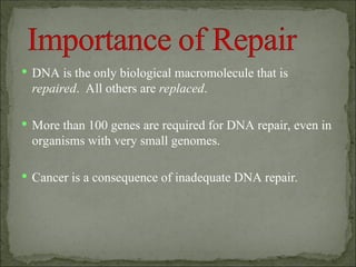 Comprehensive Overview of DNA Repair Mechanisms and Their Biological ...