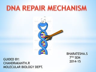 BHARATESHA.S
7TH SEM
2014-15
GUIDED BY:
CHANDRAKANTH.R
MOLECULAR BIOLOGY DEPT.
 