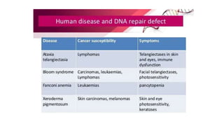 DNA repair mechanism - Brief description, causes and cure | PPTX