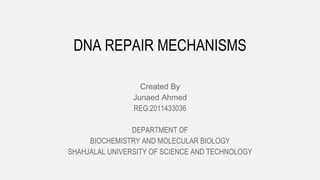 DNA REPAIR MECHANISMS
Created By
Junaed Ahmed
REG:2011433036
DEPARTMENT OF
BIOCHEMISTRY AND MOLECULAR BIOLOGY
SHAHJALAL UNIVERSITY OF SCIENCE AND TECHNOLOGY
 