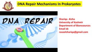 DNA Repair Mechanisms In Prokaryotes
Picture
representing
the title of
the Topic
Shariqa Aisha
University of Kashmir
Department of Bioresources
Email id:
rasoolshariqa@gmail.com
 