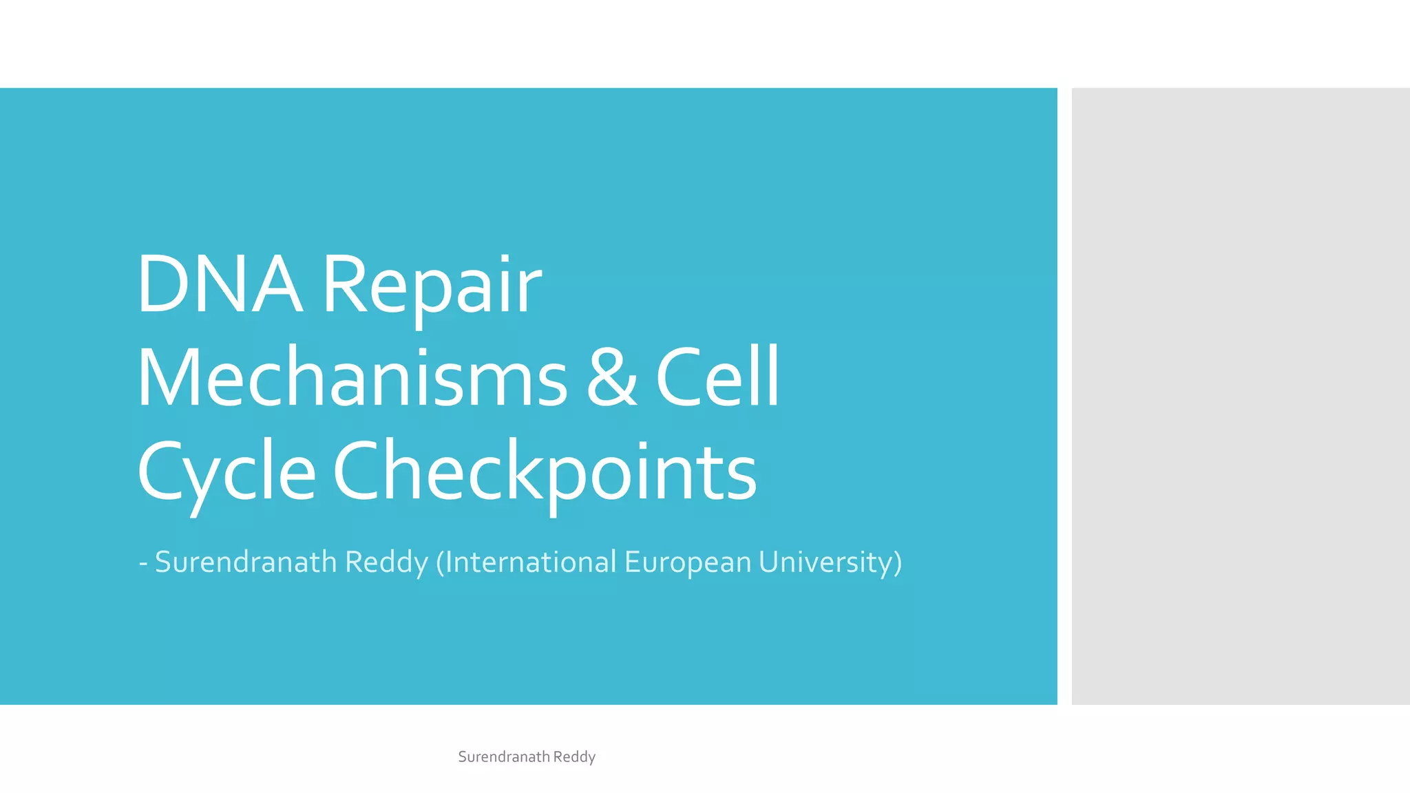 Dna repair mechanisms & cell cycle checkpoints PPT