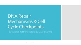 DNA Repair
Mechanisms &Cell
CycleCheckpoints
- Surendranath Reddy (International European University)
Surendranath Reddy
 