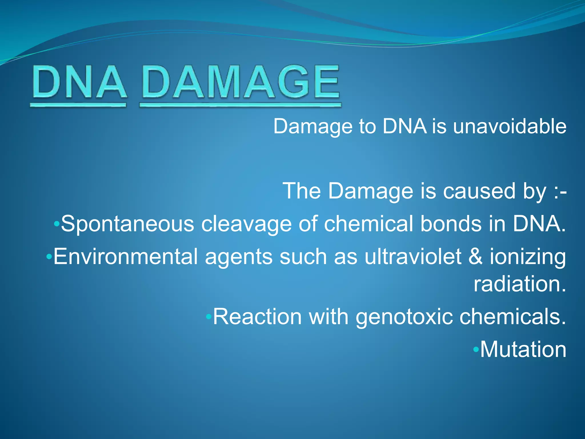 Damage to DNA is unavoidable
The Damage is caused by :-
•Spontaneous cleavage of chemical bonds in DNA.
•Environmental agents such as ultraviolet & ionizing
radiation.
•Reaction with genotoxic chemicals.
•Mutation