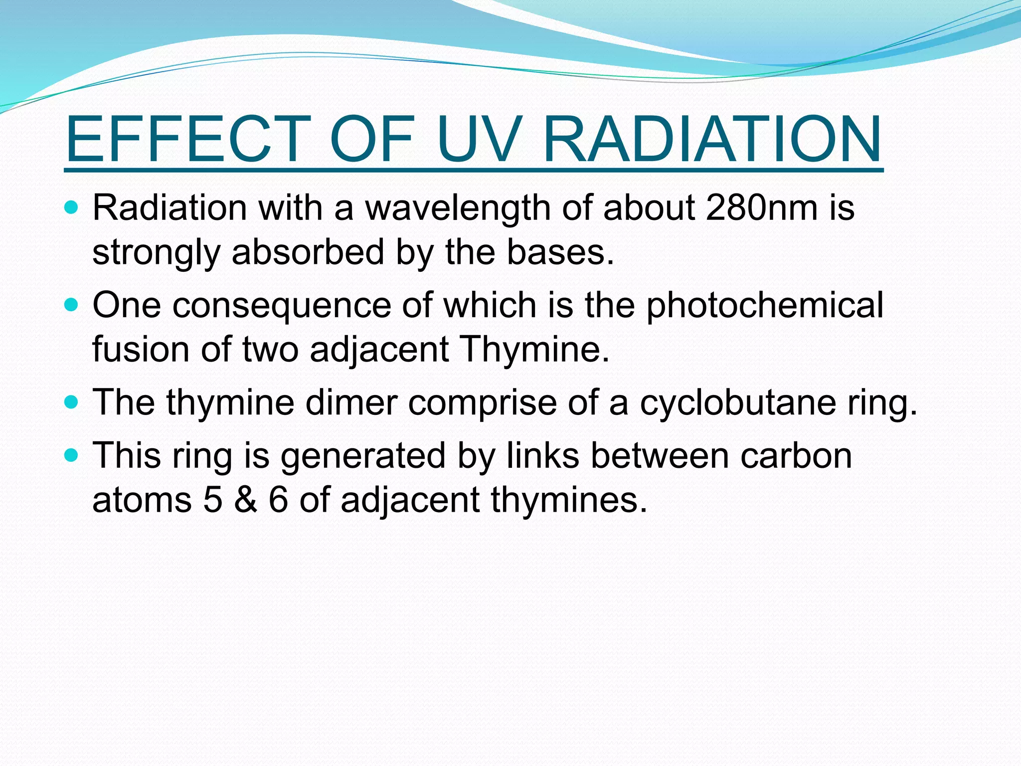 EFFECT OF UV RADIATION
Radiation with a wavelength of about 280nm is
strongly absorbed by the bases.
One consequence of which is the photochemical
fusion of two adjacent Thymine.
The thymine dimer comprise of a cyclobutane ring.
This ring is generated by links between carbon
atoms 5 & 6 of adjacent thymines.