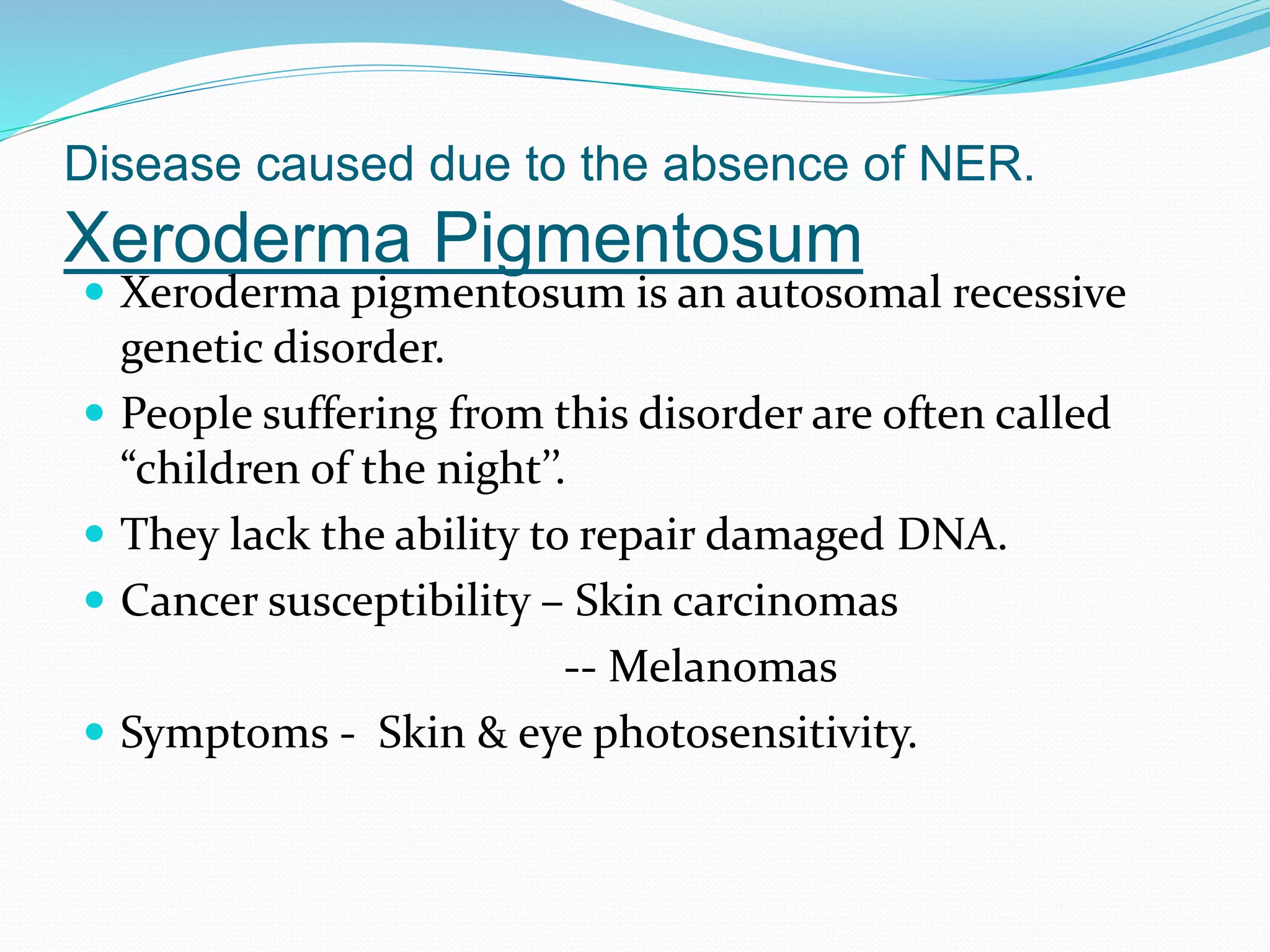 Disease caused due to the absence of NER.
Xeroderma Pigmentosum
Xeroderma pigmentosum is an autosomal recessive
genetic disorder.
People suffering from this disorder are often called
“children of the night’’.
They lack the ability to repair damaged DNA.
Cancer susceptibility – Skin carcinomas
-- Melanomas
Symptoms - Skin & eye photosensitivity.