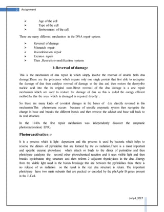 2 Assignment
July 4, 2017
 Age of the cell
 Type of the cell
 Environment of the cell
There are many different mechanism in the DNA repair system.
 Reversal of damage
 Mismatch repair
 Recombination repair
 Excision repair
 Then ,Restriction-modification systems
1-Reversal of damage
This is the mechanism of dna repair in which simply involve the reversal of double helix dna
damage.These are the processes which require only one single protein that first able to recognize
the damage of dna then catalyse reversal of damage to the dna and then restore the deoxyribo
nucleic acid into the its original state.Direct reversal of the dna damage is a one repair
mechanism which are used to restore the damage of dna so this is called the energy efficient
method.In this the area which is damaged is repaired directly .
So there are many kinds of covalent changes in the bases of dna directly reversed in this
mechanism.This phenomena occurs because of specific enzymatic system then recognize the
change in base and breaks the different bonds and then remove the adduct and base will back to
its real structure.
In the 1940s the first repair mechanism was independently discover the enzymatic
photoreactivation( EPR).
Photoreactivation :-
It is a process which is light- dependent and this process is used by bacteria which helps to
reverse the dimers of pyrimidine that are formed by the uv radiation.There is a most important
and specific enzyme photolyase which attach or binds to the dimer of pyrimidine and then
photolyase catalyzes the second other photochemical reaction and it uses visible light and then
breaks cyclobutane ring structure and then reform 2 adjacent thymidylates in the dna .Energy
from the visible light used in the bonds breakage that are between the pyrimidines then there is
no release of uv radiation so the result is the real dna structure is return. The important
photolyase have two main subunits that are packed or encoded by the phrA,phr B genes present
in the E.Coli.
 