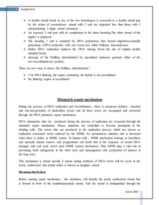 4 Assignment
July 4, 2017
 A double strand break in one of the two homologous is converted to a double strand gap
by the action of exonucleases .strand with 3 end are degraded less than those with 5
end,producing 3 single strand extensions .
 An exposed 3 end pair with its complement in the intact homolog.The other strand of the
duplex is displaced.
 The invading 3 end is extended by DNA polymerase plus branch migration,eventually
generating a DNA molecules with two crossovers called hollyday intermedaiates.
 further DNA replication replaces the DNA missing freom the site of original double
stranded break.
 cleavage of the Holliday intermediated by specialized nucleases generate either of the
two recombinational product .
There are two ways to cleave the Holliday intermediated :
 T he DNA flanking the region containing the hybrid is not recombined .
 the flanking region is recombined.
Mismatch repair mechanism
During the process of DNA replication and recombination , there is erroneous deletion , insertion
and mis-incorporation of nucleotides occurs and all these errors are recognized and corrected
through the DNA mismatch repair mechanism.
DNA mismatches that are produced during the process of replication are corrected through the
mismatch repair mechanism. Hence mutations are controlled to become permanent in the
dividing cells. The errors that are produced in the replication process which are known as
replication associated errors reduced by the MMR, So spontaneous mutation rate is increased
when there is defect in MMR system. In human cells , MMR inactivation belongs to hereditary
and sporadic human cancers and programmed cell death that is the response of certain DNA
damages and cell cycle arrest need MMR system mechanism. Thus MMR play a vital role in
preventing both mutagenesis in the short term and tumorigenesis (the production of tumors) in
the long term.
This mechanism is strand specific it means during synthesis of DNA errors will be occur in the
newly synthesized dna strand which is known as daughter strand.
Hemimethylation
Before starting repair mechanism , the machinery will identify the newly synthesized strand that
is formed in front of the template(parental) strand. And the strand is distinguished through the
 