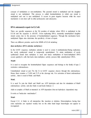 5 Assignment
July 4, 2017
concept of methylation or non-methylation. The parental strand is methylated and the daughter
strand is not methylated. This process is called hemimethylation in which one strand is
methylated and one is non methylated. It occurs in gram negative bacteria while the exact
mechanism is not clear syill in other prokaryotes and eukaryotes.
DNA mismatch repair in E.Coli:
There are specific sequences at the N6 position of adenine where DNA is methylated in the
E.Coli and the sequence is dGATC. From replicating DNA, transiently unmethylated daughter
strand comes due to the presence of hemimethylated seguences. Through this mechanism hemi-
methylated Dgatc sites determine the specificity of stsnr of repair.
There are different proteins used in the MMR of E.Coli including
dam methylase (DNA adenine methylase)
In the GATC sequence, methylates adenine is used to create 6-methyladenine.During replication,
the newly synthesized strand is temporarily unmethylated. To attain methylation of newly
synthesized strand dam methylase is used and hence methylation of hemi-methylated DNA
occurs quickly.In cells that lacks dam methylase activity possess fully unmethylated DNA.
MutH
It is used to recognize the hemimethylated Dgatc sequences and belongs to the family of type 2
restriction endonucleases.
Unmethylated strand at just 5'to the G in GATC sequence cleaves through this endonuclease.
Hence there remains a 3'-OH and 5'-P at the cleavage site. For activation of latent endonuclease
activity , there is need of MutL and MutS.
MutL
It is used To join the MutS and MutH use ATP hydrolysis and also for stimulation of MutH
endonuclease activity and also binds to and loads helicase 2.
Adds to complex of MutS at mismatch in ATP dependent (but not hydrolysis dependent) step.
It works as "molecular matchmaker".
MutS
Except C-C, it binds to all mismatches like insertion or deletion. Heteroduplexes having four
extra nucleoties are repaired weakly but on the other hand larger heterologies not appear to
recongnized.
 