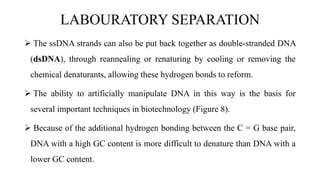 DNA Rep and RNA structure well explained | PPTX