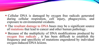  Cellular DNA is damaged by oxygen free radicals generated
during cellular respiration, cell injury, phagocytosis, and
exposure to environmental oxidants.
 The resultant damage to DNA bases may be a significant source
of mutations that lead to cancer and other human pathology .
 Because of the multiplicity of DNA modifications produced by
oxygen free radicals , it has been difficult to establish the
frequency and specificity of mutations engendered by individual
oxygen-induced DNA lesions.
 