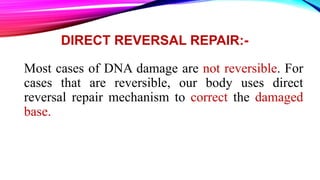 DIRECT REVERSAL REPAIR:-
Most cases of DNA damage are not reversible. For
cases that are reversible, our body uses direct
reversal repair mechanism to correct the damaged
base.
 
