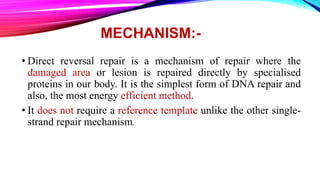 MECHANISM:-
• Direct reversal repair is a mechanism of repair where the
damaged area or lesion is repaired directly by specialised
proteins in our body. It is the simplest form of DNA repair and
also, the most energy efficient method.
• It does not require a reference template unlike the other single-
strand repair mechanism.
 